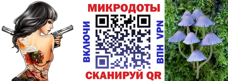 Псилоцибиновые грибы ЛСД где найти наркотики Отрадный