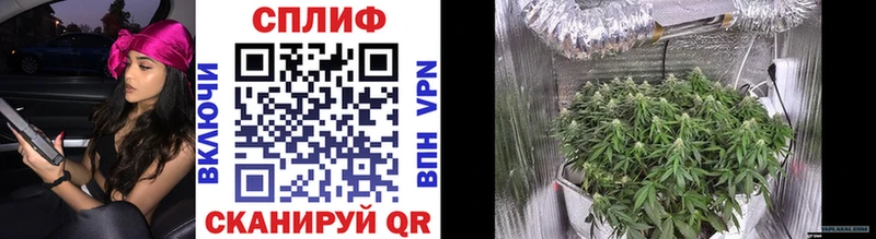 Конопля Bruce Banner Отрадный
